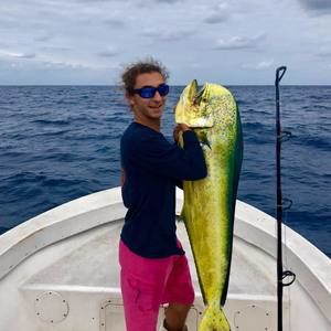 Meet your Posher, Dimitri